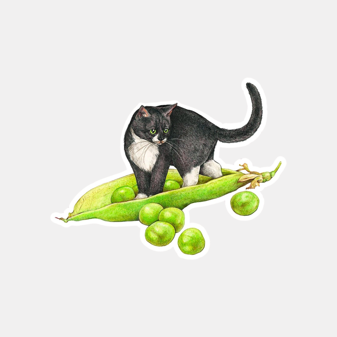 Peas Cat Sticker