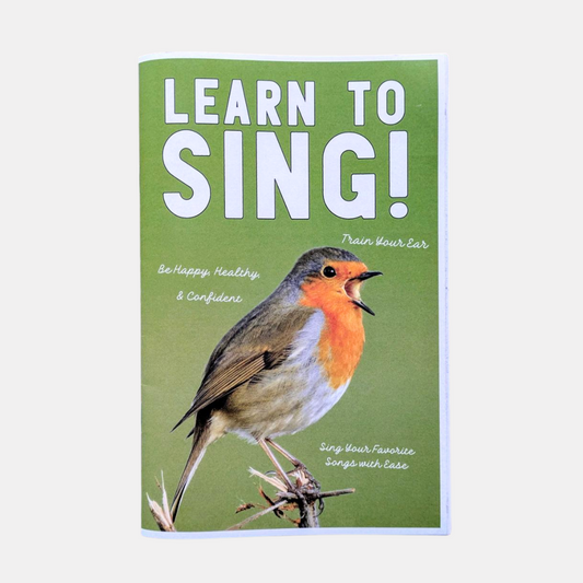 Learn To Sing Zine
