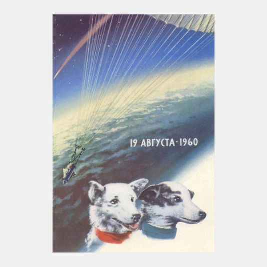 Space Dogs Postcard