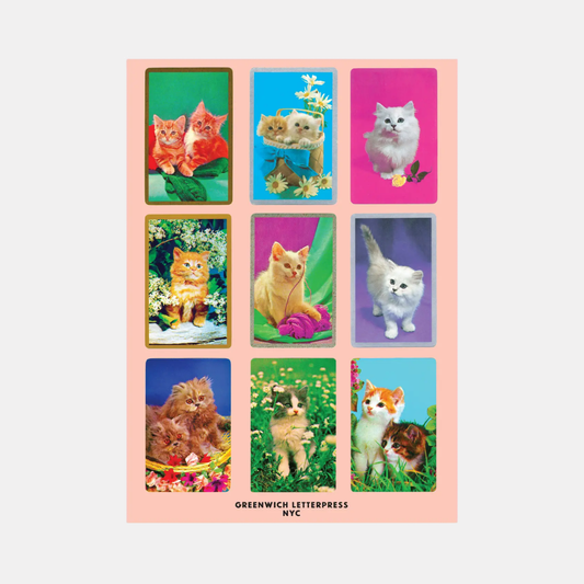 Cat Selfies Sticker Sheet