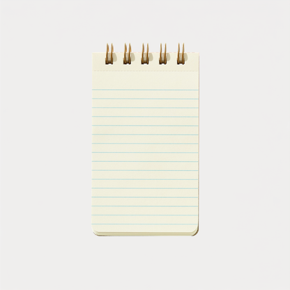 Blueberry Reporter Notebook