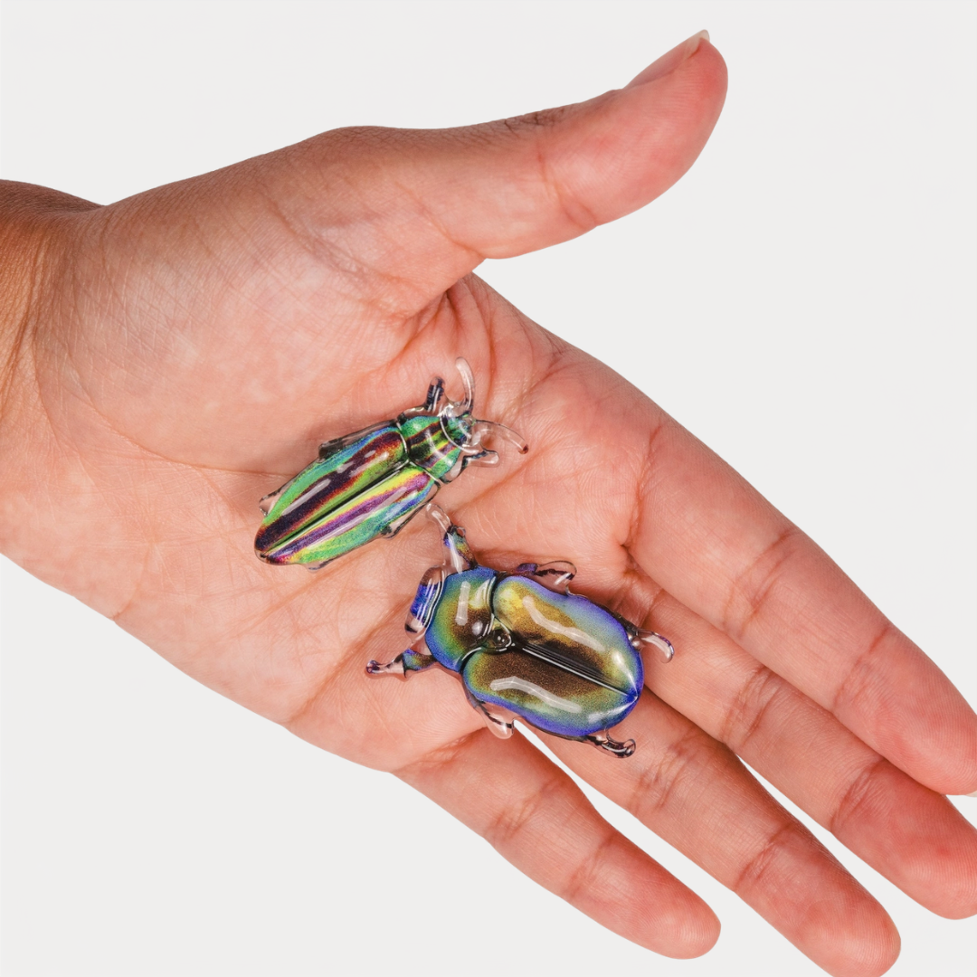 Beetle Allie Clips