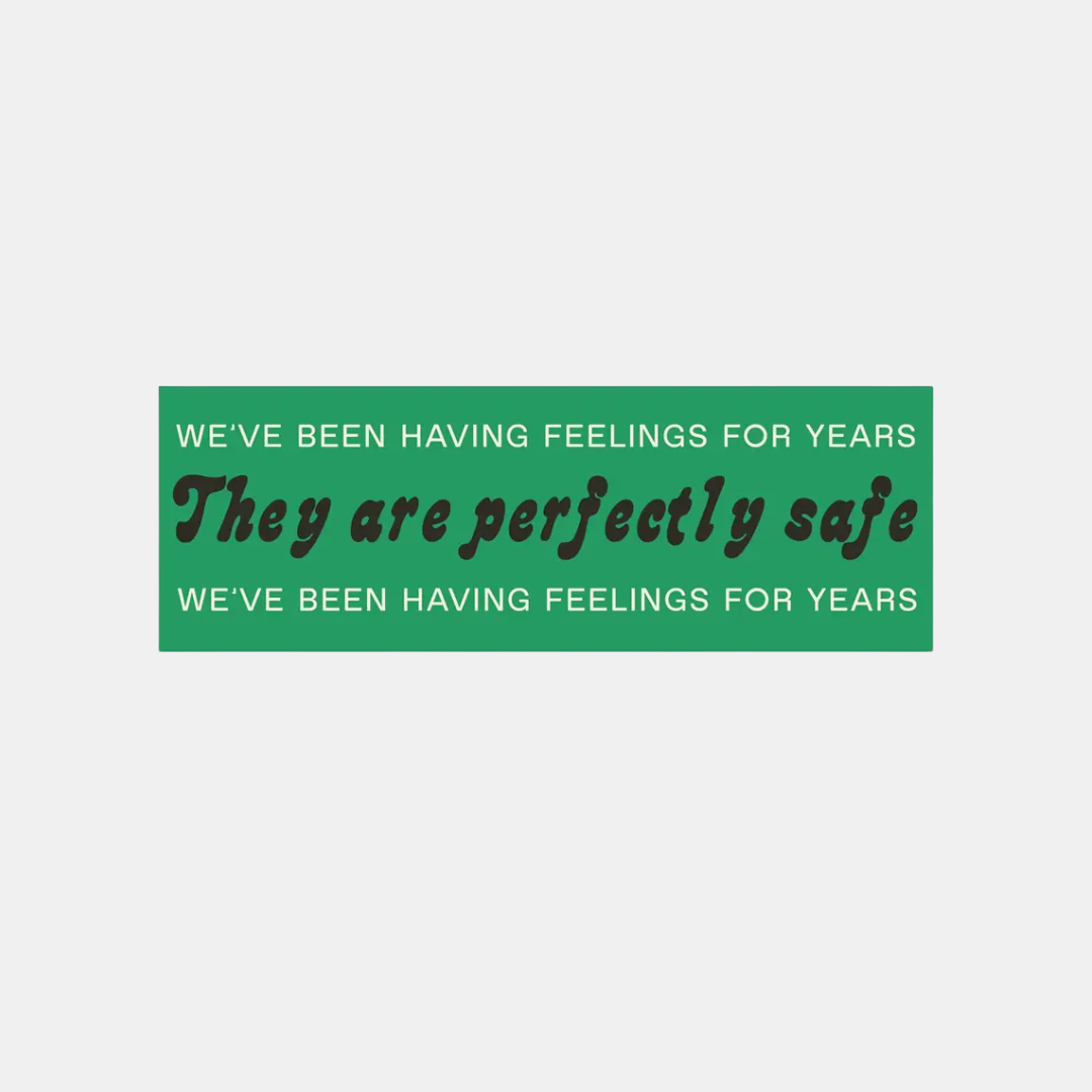 We've Been Having Feelings Bumper Sticker