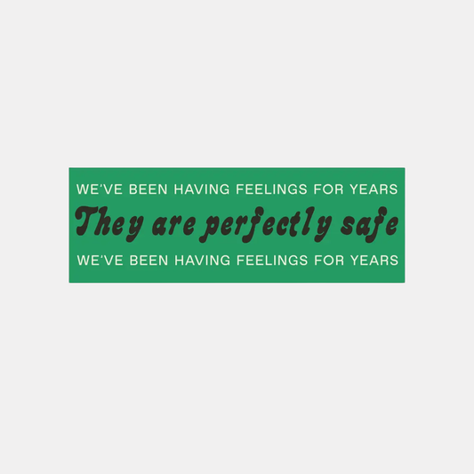 We've Been Having Feelings Bumper Sticker