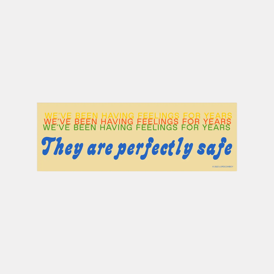 We've Been Having Feelings Bumper Sticker