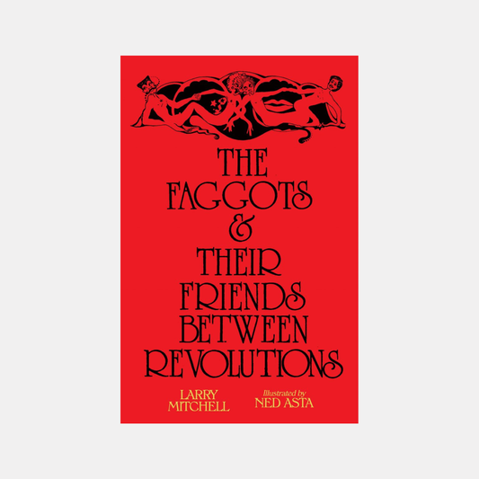 The Faggots & Their Friends Between Revolutions