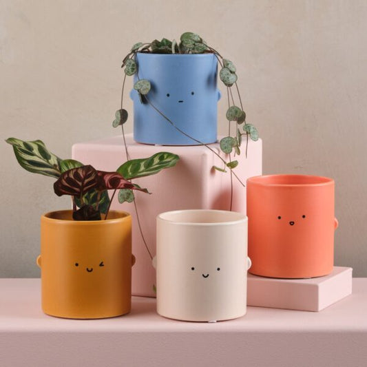 Toki Pot | Various