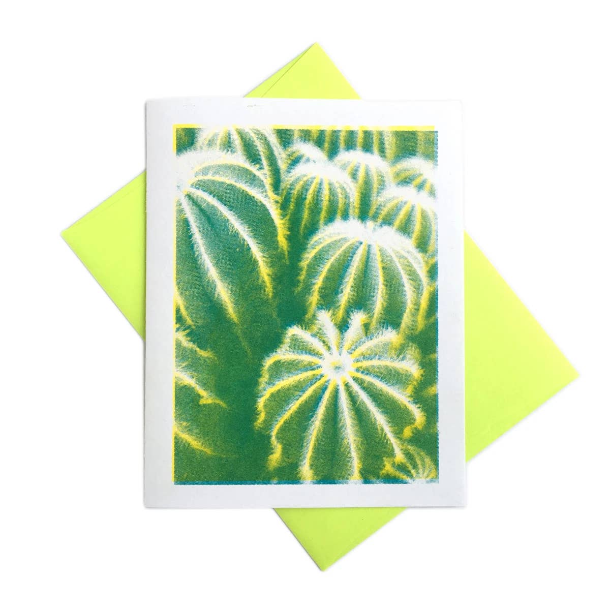 Cactus Card